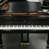 Steinway B Grand