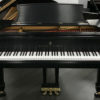 Steinway B