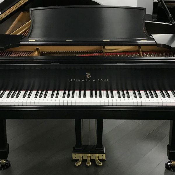 Steinway B