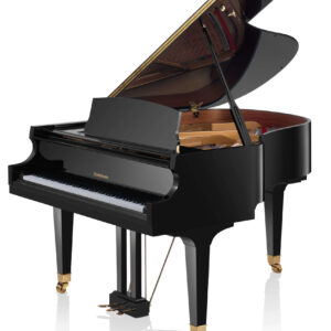 B177_HPE (1) B177_HPE (1)