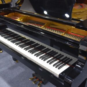 DSC_6827 (1) DSC_6827 (1)