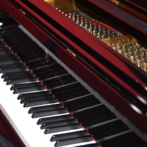 2018 Steinway Model B (1)