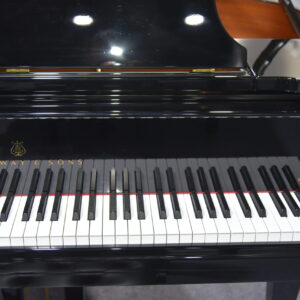 3 Steinway Spiro